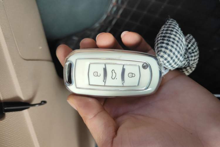 Used Geely Galaxy Panda 2023 Panda Mini 200km Endurance Bear Vehicle Key