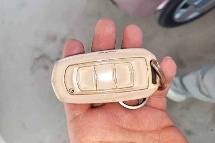 Used Geely Galaxy Panda 2023 Panda Mini 200km "Lucky Duck" Limited Edition – Lucky You! Vehicle Key