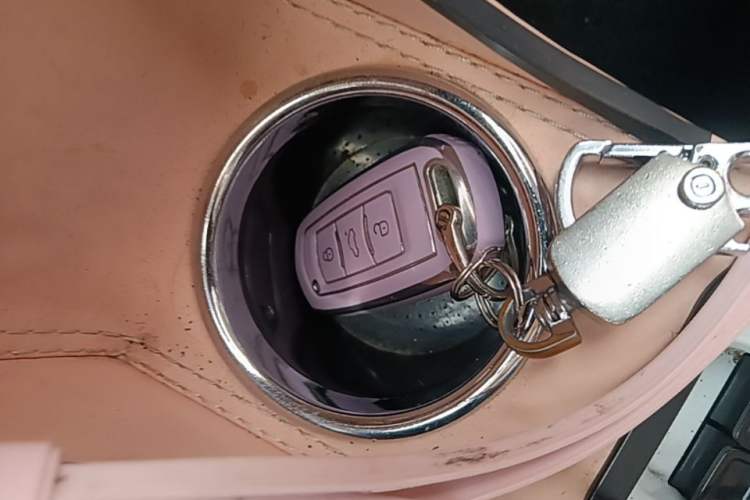Used Geely Galaxy Panda 2023 Panda Mini 200km Endurance Bear Vehicle Key