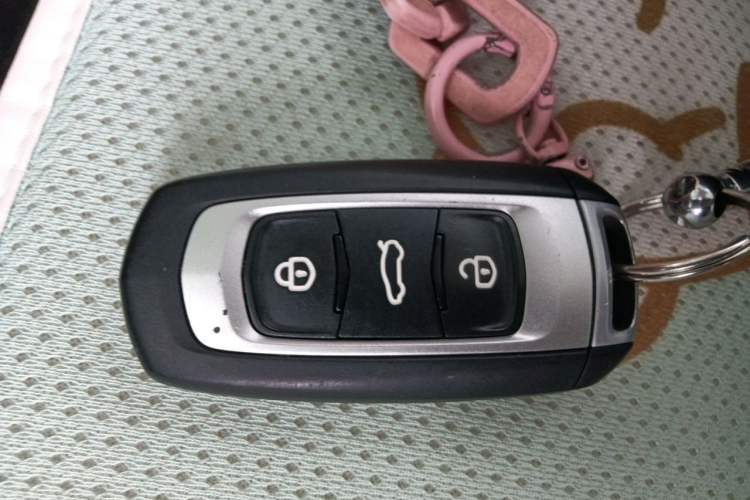 Used Geely Galaxy Panda 2023 Panda Mini 200km Endurance Bear Vehicle Key