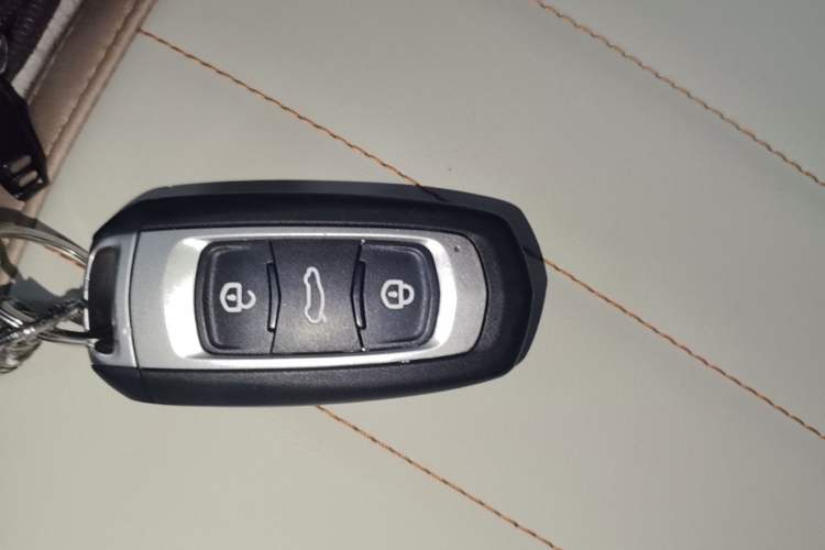 Used Geely Galaxy Panda 2023 Panda Mini 200km Endurance Bear Vehicle Key