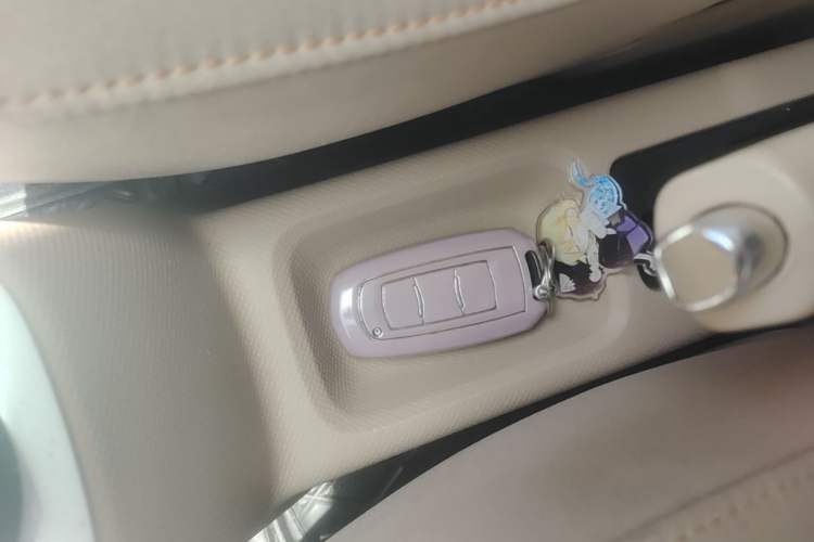 Used Geely Galaxy Panda 2023 Panda Mini 200km Endurance Bear Vehicle Key