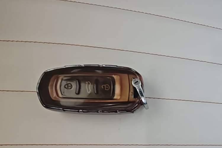 Used Geely Galaxy Panda 2023 Panda Mini 200km Endurance Bear Vehicle Key