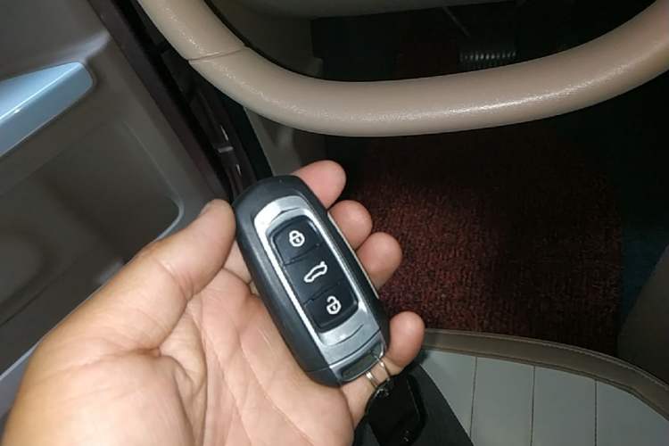 Used Geely Galaxy Panda 2023 Panda Mini 200km Endurance Bear Vehicle Key