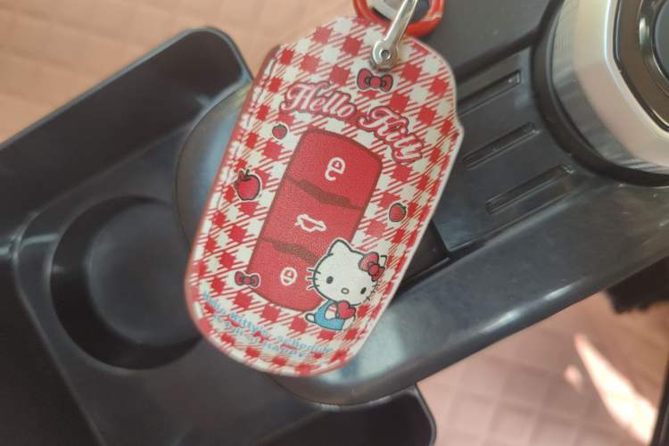 Used Geely Galaxy Panda 2023 Panda Mini 200km Endurance Bear Vehicle Key