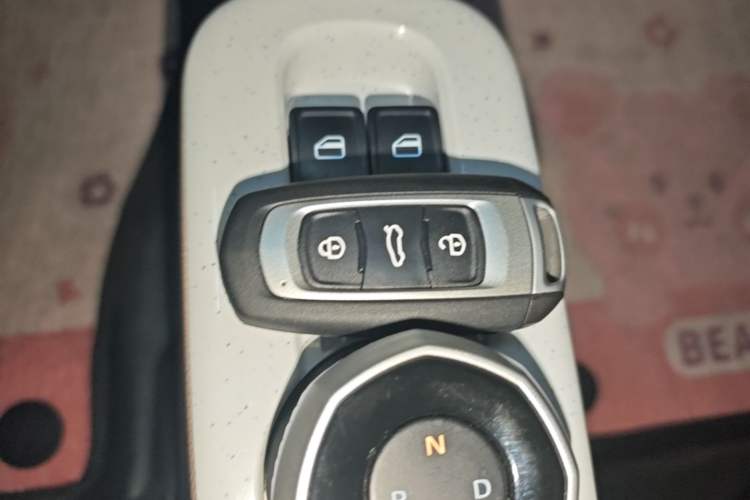 Used Geely Galaxy Panda 2023 Panda Mini 200km Endurance Bear Vehicle Key