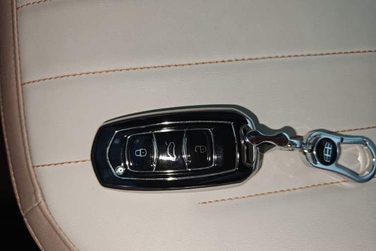 Used Geely Galaxy Panda 2023 Panda Mini 200km Endurance Bear Vehicle Key