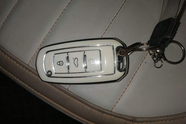 Used Geely Galaxy Panda 2023 Panda Mini 200km Dynamic Bear Vehicle Key