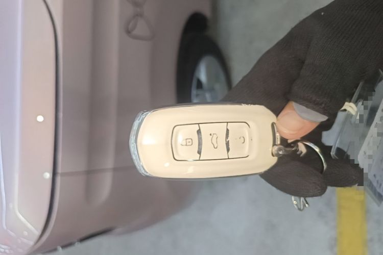 Used Geely Galaxy Panda 2023 Panda Mini 200km Endurance Bear Vehicle Key
