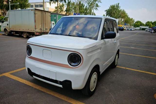 Used Geely Galaxy Panda 2023 Panda Mini 200km Endurance Bear