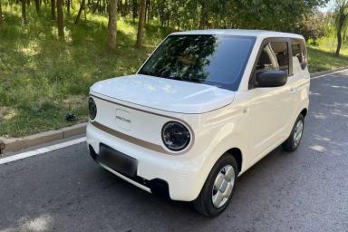 Used Geely Galaxy Panda 2023 Panda Mini 120km Cute Bear