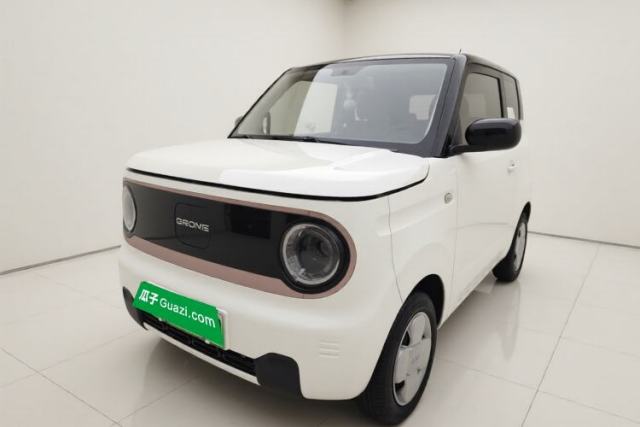 Geely Galaxy Panda 2023 Panda Mini 200km Endurance Bear usado