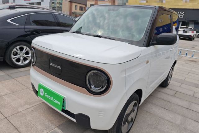 Used Geely Galaxy Panda 2023 Panda Mini New Year Edition Treasure Bear