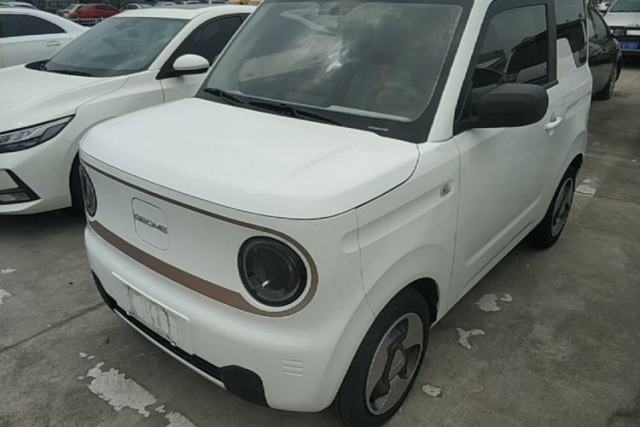 Geely Galaxy Panda 2023 Panda Mini 200km Dynamic Bear usado