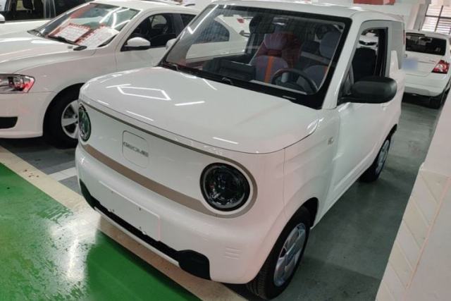 Geely Galaxy Panda 2023 Panda Mini 200km Endurance Bear usado