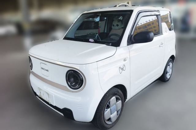 Used Geely Galaxy Panda 2023 Panda Mini 200km Endurance Bear