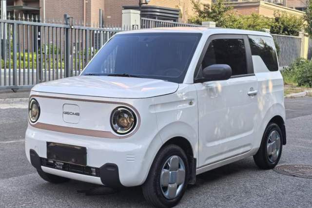 Używany Geely Galaxy Panda 2023 Panda Mini 200km Endurance Bear
