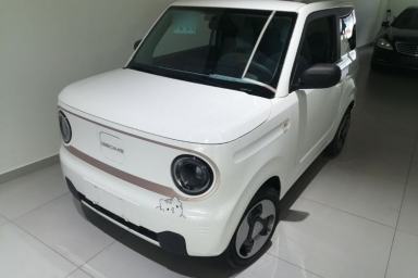Used Geely Galaxy Panda 2023 Panda Mini 200km Dynamic Bear
