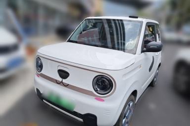 Used Geely Galaxy Panda 2023 Panda Mini 120km Cute Bear