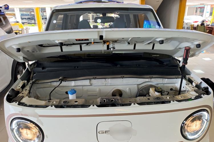 Used Geely Galaxy Panda 2023 Panda Mini 200km Endurance Bear Engine Bay