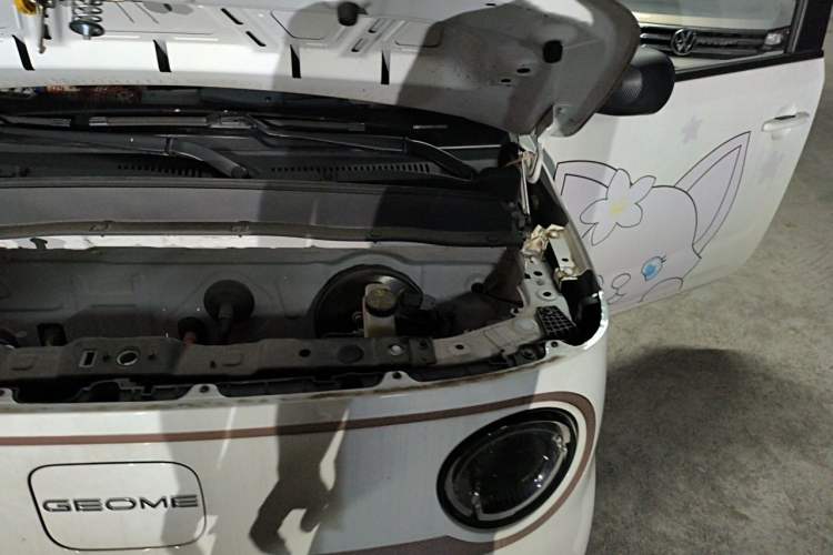 Used Geely Galaxy Panda 2023 Panda Mini 200km Endurance Bear Engine Bay Left