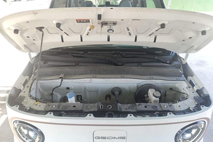 Used Geely Galaxy Panda 2023 Panda Mini 200km Endurance Bear Engine Bay