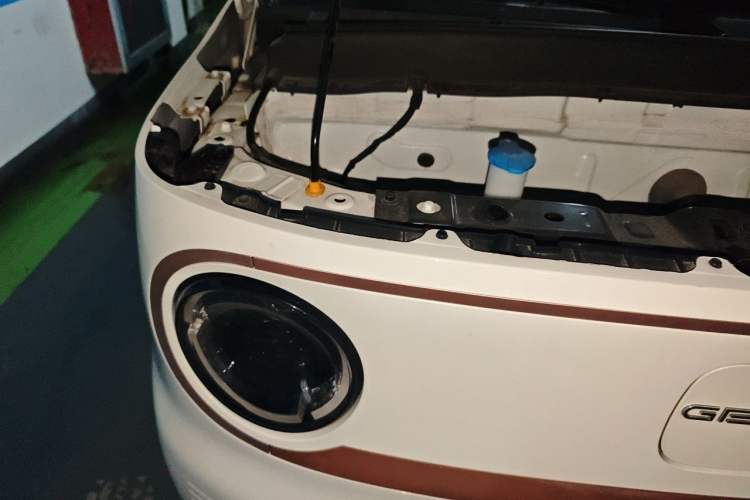 Used Geely Galaxy Panda 2023 Panda Mini 200km Endurance Bear Engine Bay Right