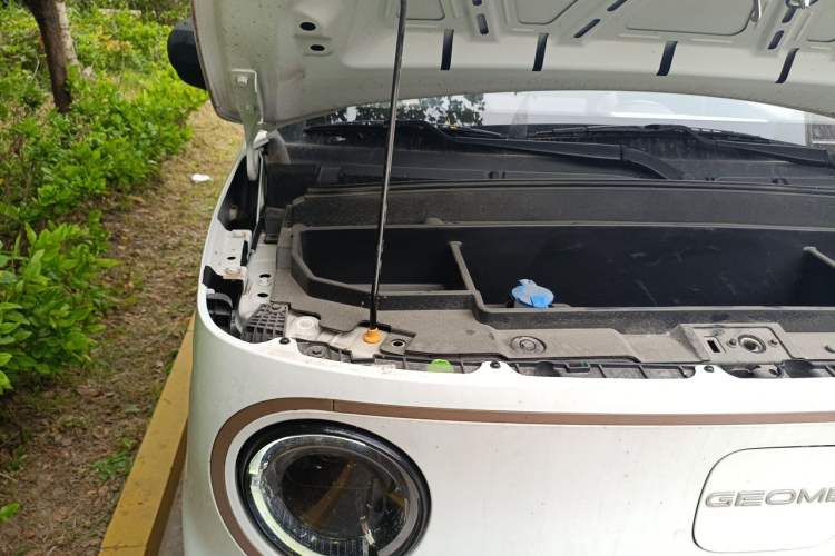Used Geely Galaxy Panda 2023 Panda Mini 200km Endurance Bear Engine Bay Right