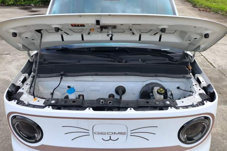 Used Geely Galaxy Panda 2023 Panda Mini 120km Super Cute Bear Engine Bay