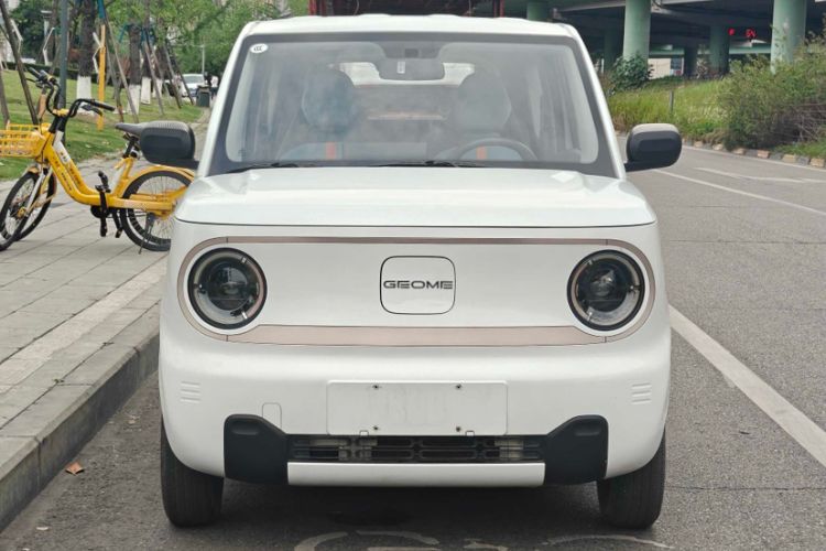 Used Geely Galaxy Panda 2023 Panda Mini 120km Cute Bear Exterior 2