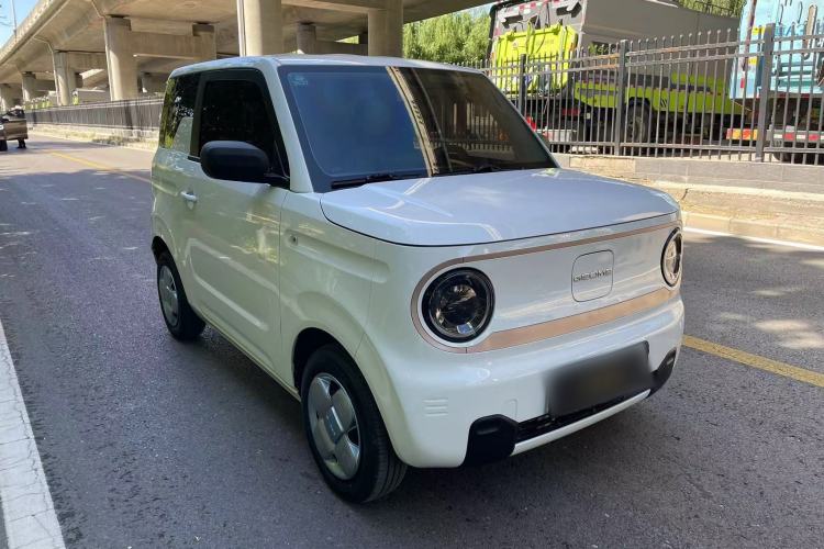 Used Geely Galaxy Panda 2023 Panda Mini 120km Cute Bear Exterior 3
