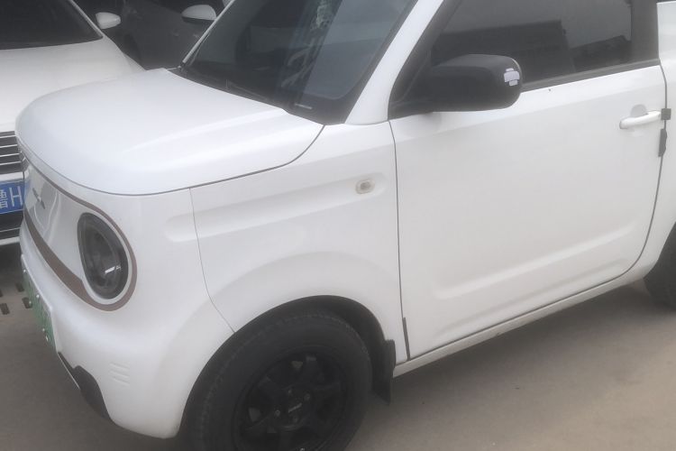 Used Geely Galaxy Panda 2023 Panda Mini 200km Dynamic Bear Exterior 3