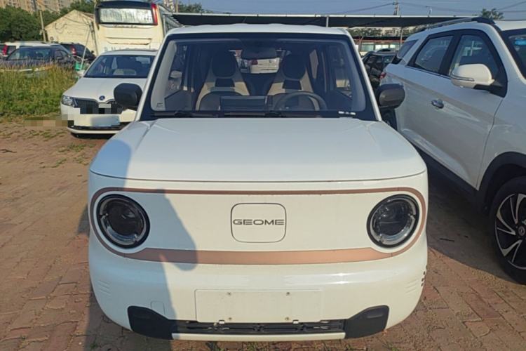Used Geely Galaxy Panda 2023 Panda Mini 120km Super Cute Bear Front
