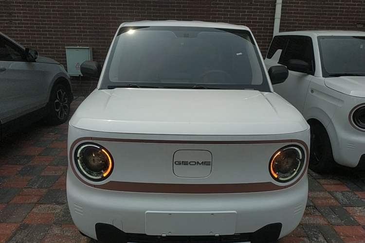 Used Geely Galaxy Panda 2023 Panda Mini 200km Endurance Bear Front
