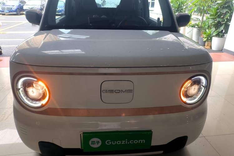 Used Geely Galaxy Panda 2023 Panda Mini 200km Endurance Bear Front