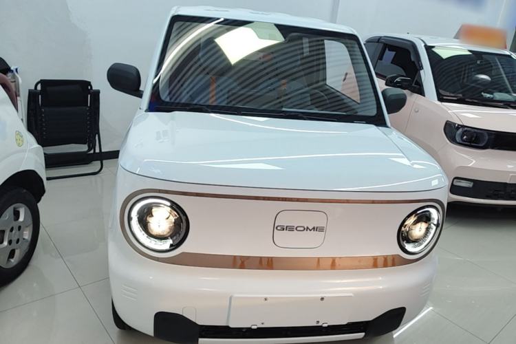 Used Geely Galaxy Panda 2023 Panda Mini 200km Endurance Bear Front