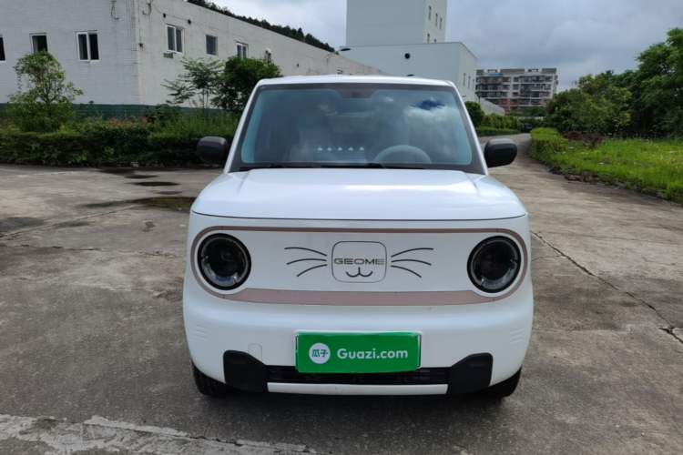 Used Geely Galaxy Panda 2023 Panda Mini 120km Super Cute Bear Front