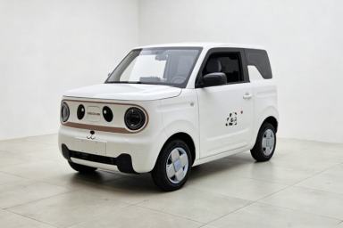 Used Geely Galaxy Panda 2023 Panda Mini 200km Endurance Bear