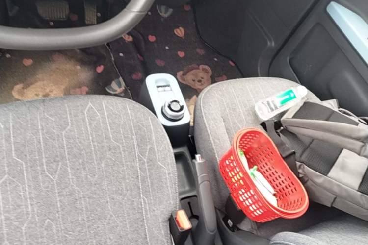Used Geely Galaxy Panda 2023 Panda Mini 200km Endurance Bear Gear Lever