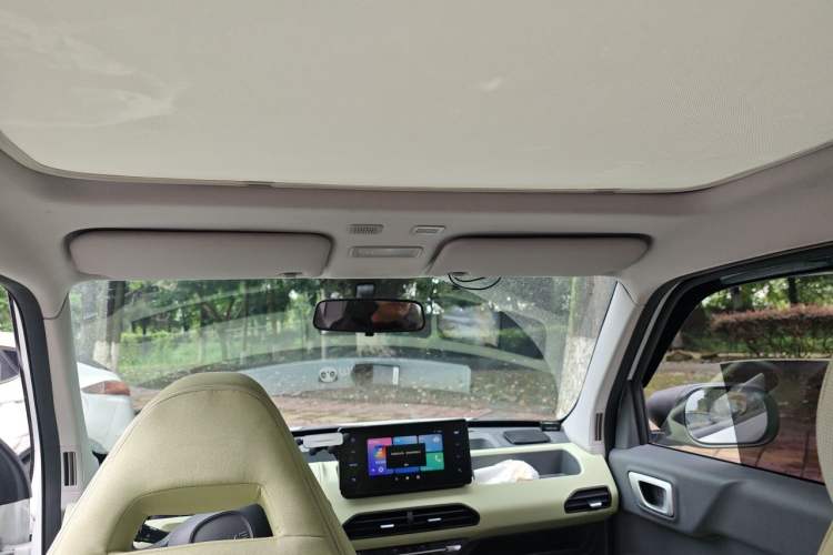 Used Geely Galaxy Panda 2023 Panda Mini New Year Edition Treasure Bear Headliner