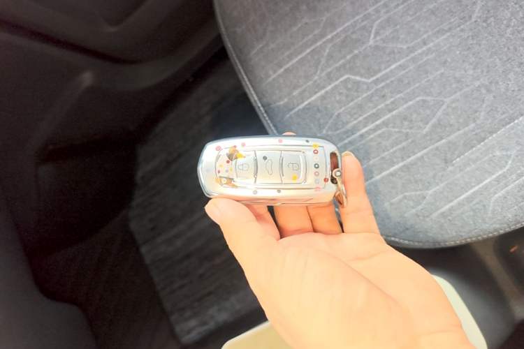 Used Geely Galaxy Panda 2023 Panda Mini 200km Endurance Bear Interior 1
