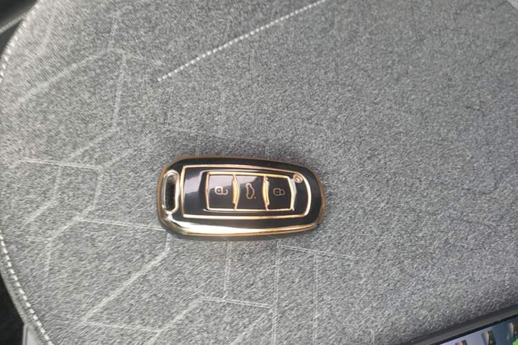 Used Geely Galaxy Panda 2023 Panda Mini 120km Super Cute Bear Interior 1