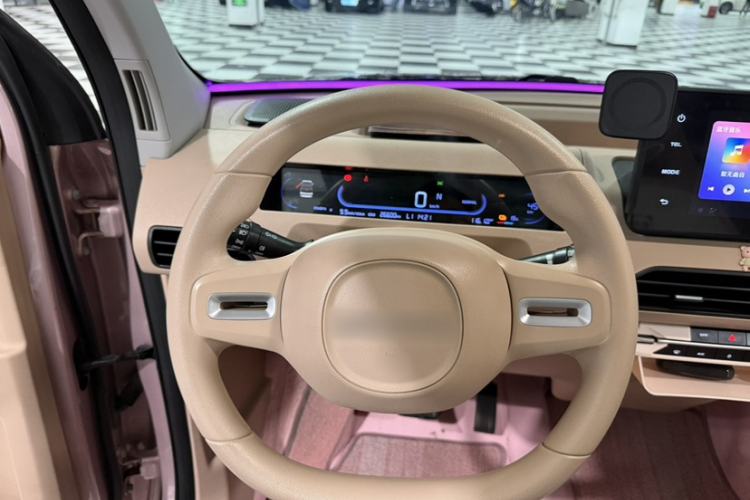 Used Geely Galaxy Panda 2023 Panda Mini 200km Dynamic Bear Interior 5
