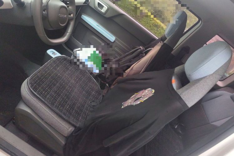 Used Geely Galaxy Panda 2023 Panda Mini 200km Endurance Bear Left Front Seat