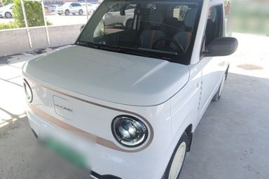 Used Geely Galaxy Panda 2023 Panda Mini 200km Endurance Bear