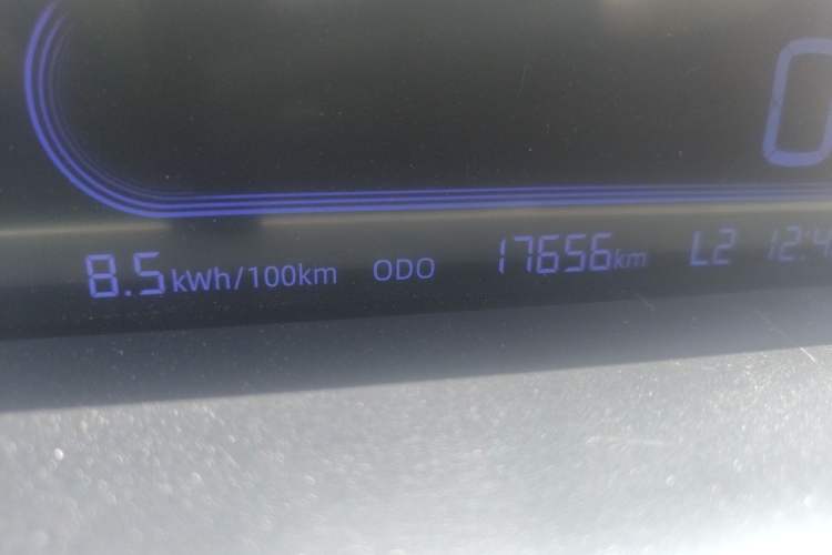 Used Geely Galaxy Panda 2023 Panda Mini 200km Endurance Bear Odometer Close Up