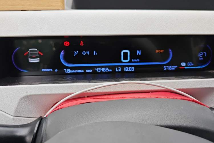 Used Geely Galaxy Panda 2023 Panda Mini 200km Endurance Bear Odometer Close Up