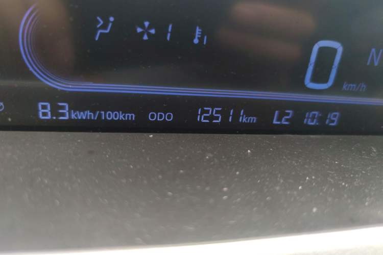 Used Geely Galaxy Panda 2023 Panda Mini 200km Endurance Bear Odometer Close Up