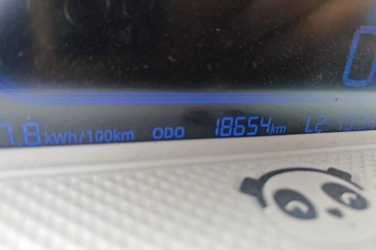 Used Geely Galaxy Panda 2023 Panda Mini 200km Endurance Bear Odometer Close Up