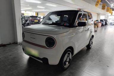 Used Geely Galaxy Panda 2023 Panda Mini New Year Edition Treasure Bear